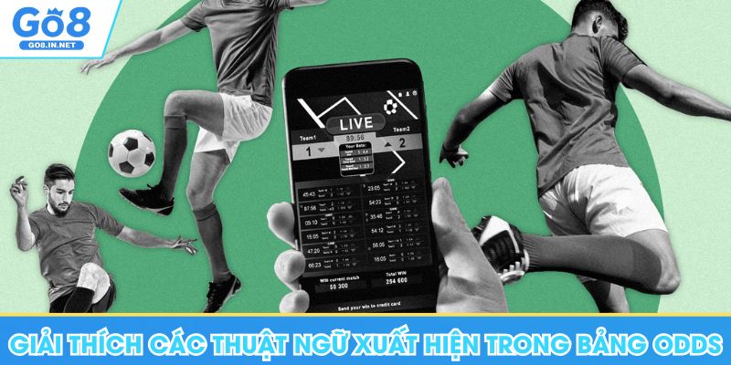 Giải thích về các thuật ngữ xuất hiện trong bảng Odds 